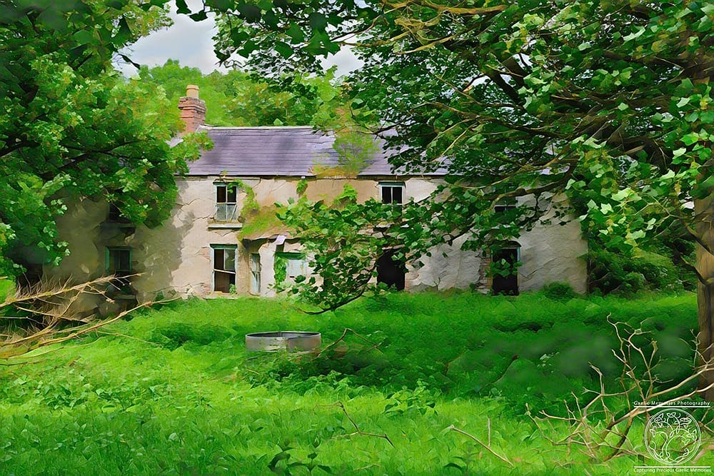green-grass-of-home