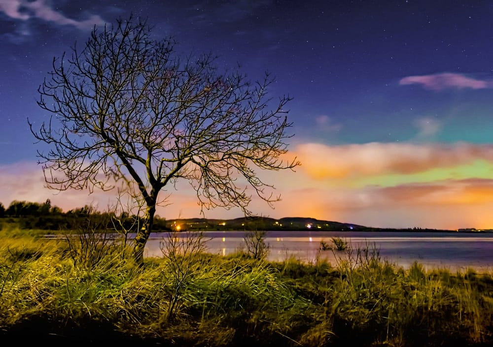 Auroral Enchantment