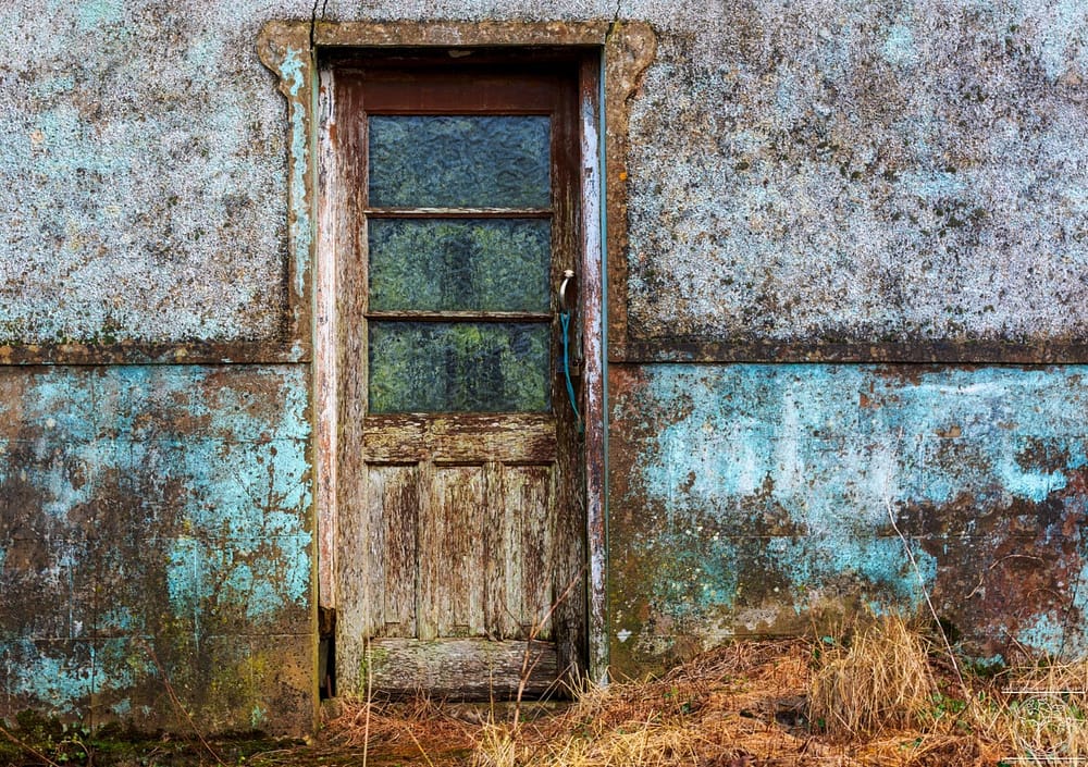 Once Home