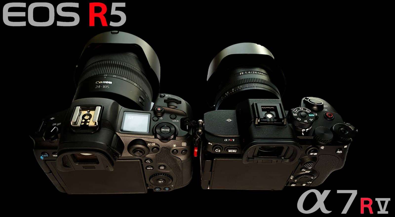 Canon EOS R5 vs Sony A7R V Gaelic Memories Photography